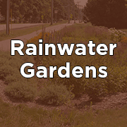 Rainwater Garden