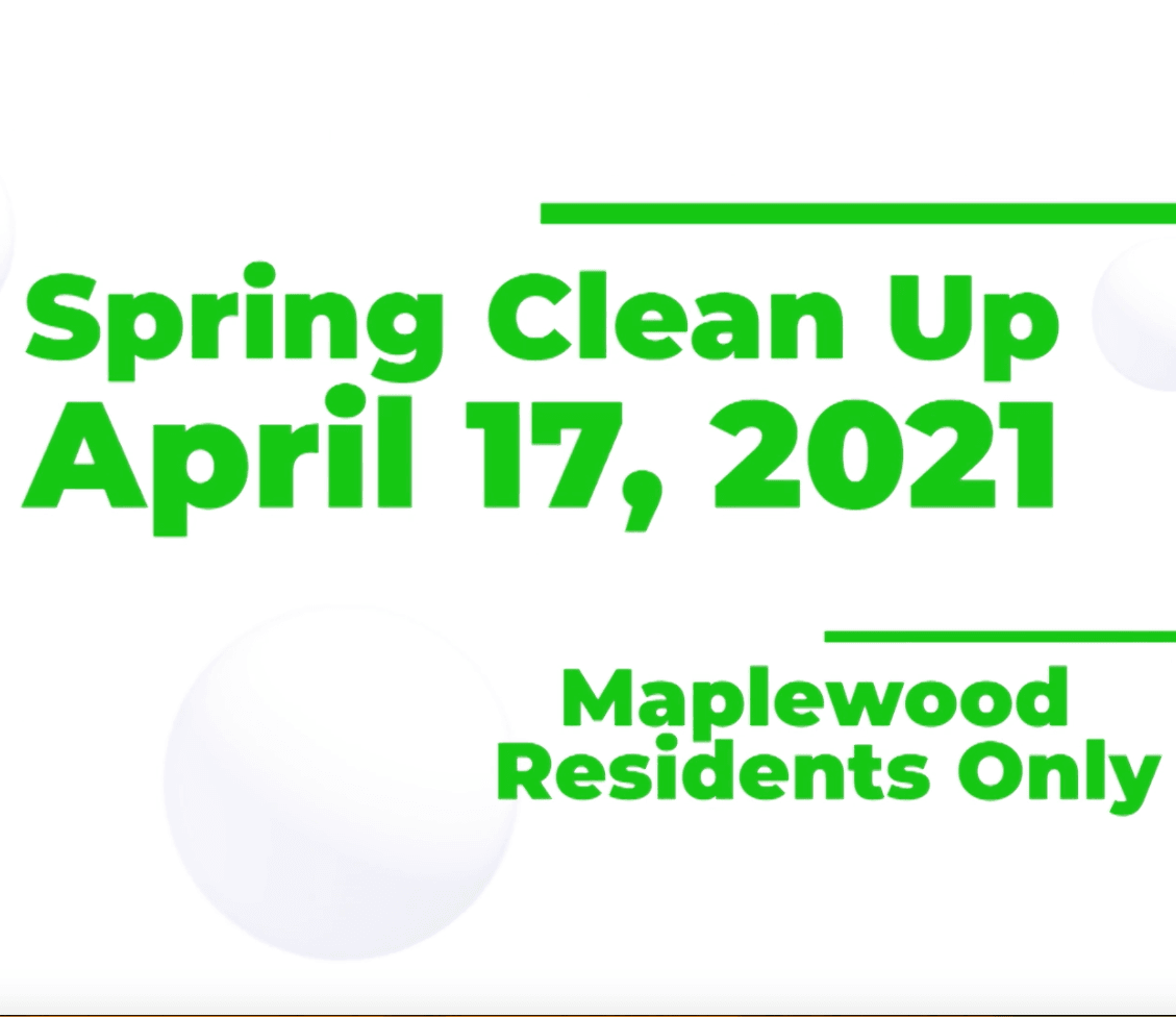 Spring Clean up